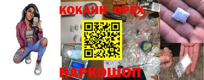 индика Гатчина