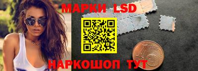 индика Гатчина