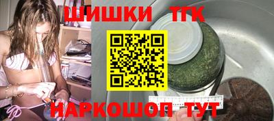 индика Гатчина
