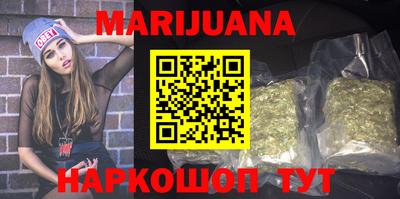 индика Гатчина