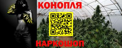 MDMA Гай