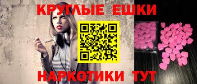 индика Гатчина