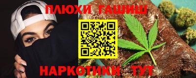 индика Гатчина